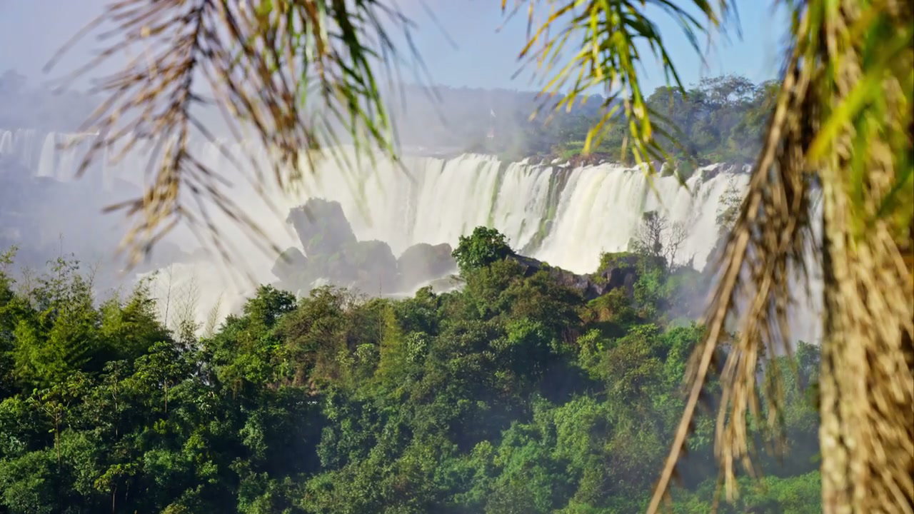 Wide View of Iguazu Falls Through Palms