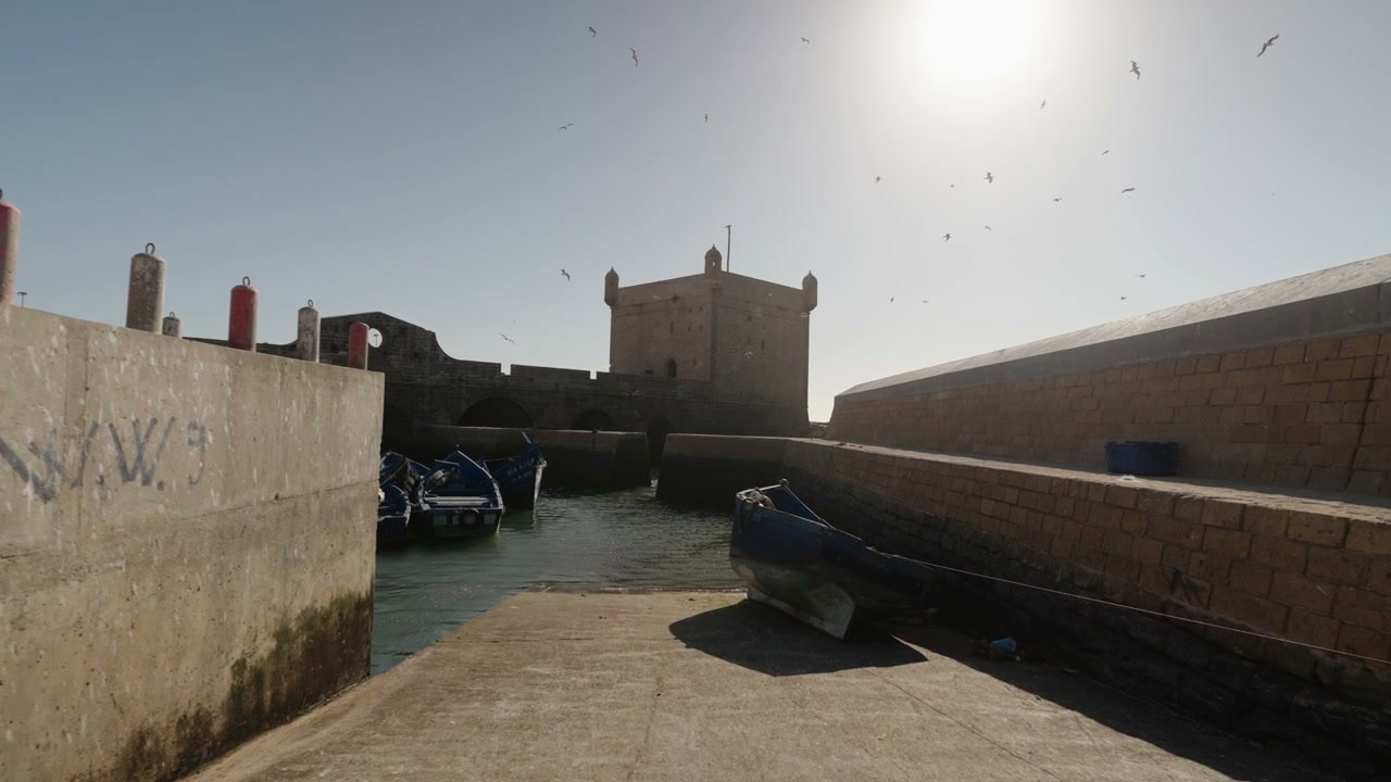 video preview