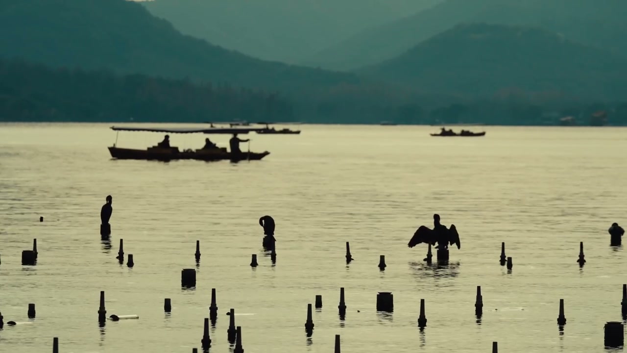 Cormorants on West Lake at Golden Hour