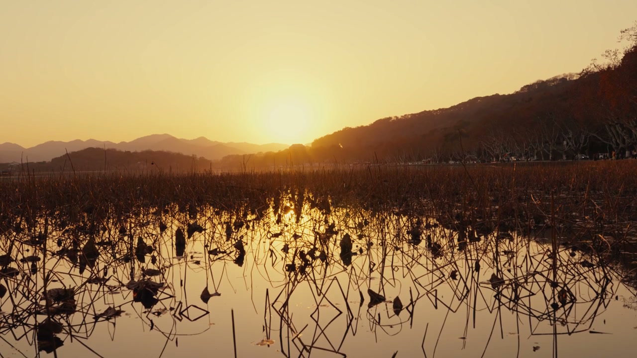 Hangzhou Lake Sunset with Dried Lotus