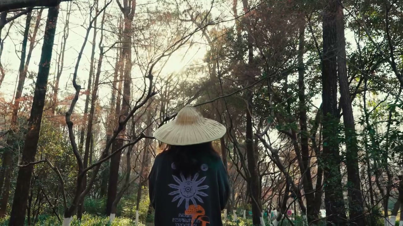 Person in Straw Hat Walking Through Sunlit Park