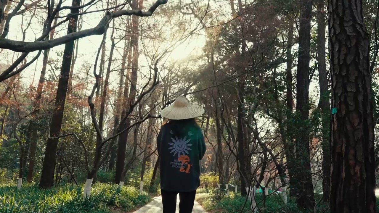 Person in Straw Hat Walks Through Sunny Forest