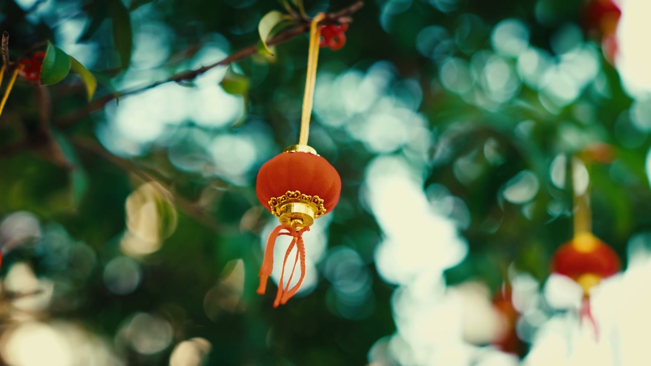 Traditional Chinese Lanterns Swaying