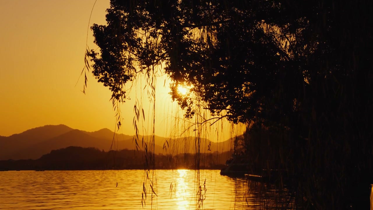Golden Sunset Over West Lake with Willow Tree