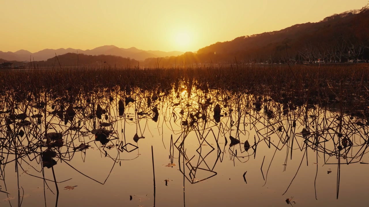 Hangzhou Sunset Over Dried Lotus Pond