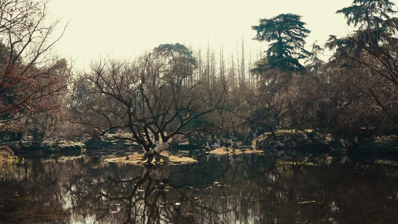 Hangzhou Park Lake with Winter Trees