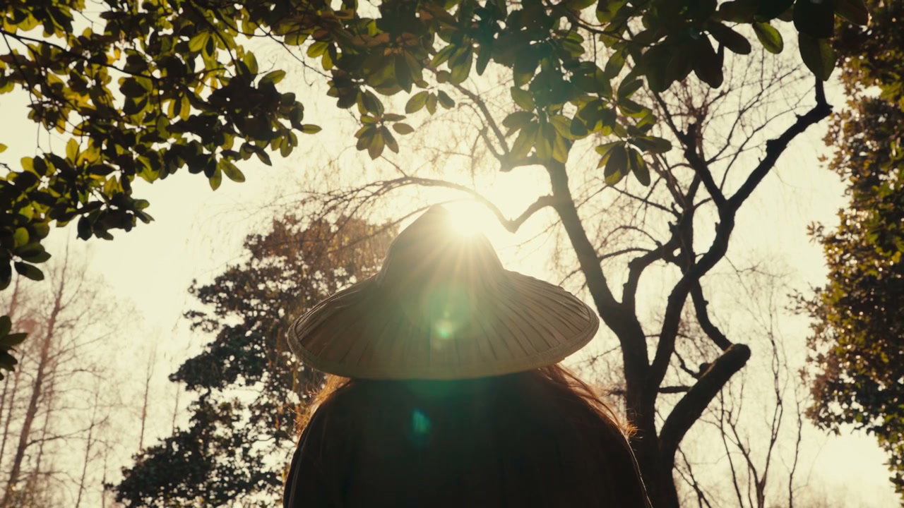 Person in Conical Hat in Sunny Park