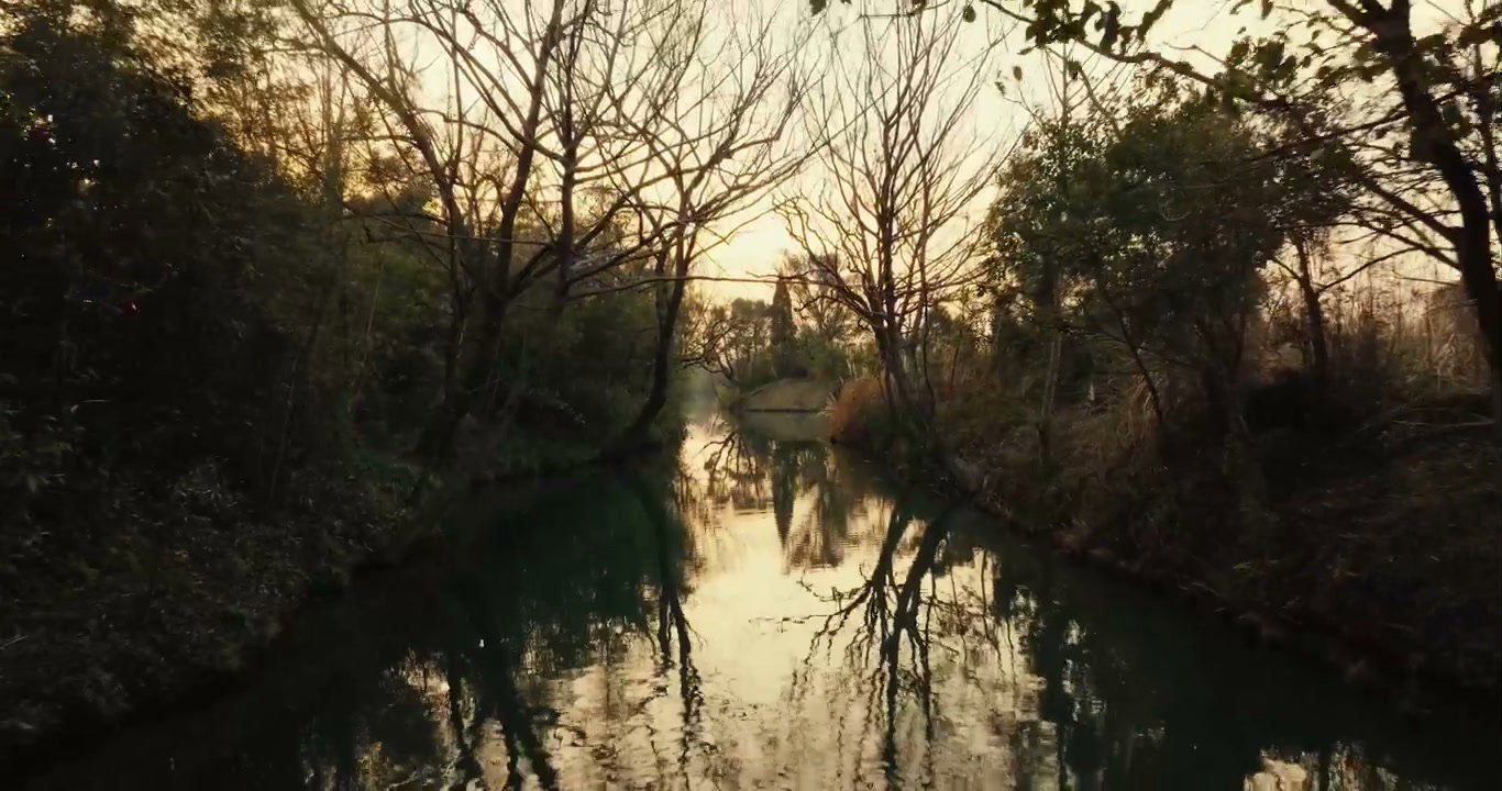 River Through Bare Trees with Sunset Reflection