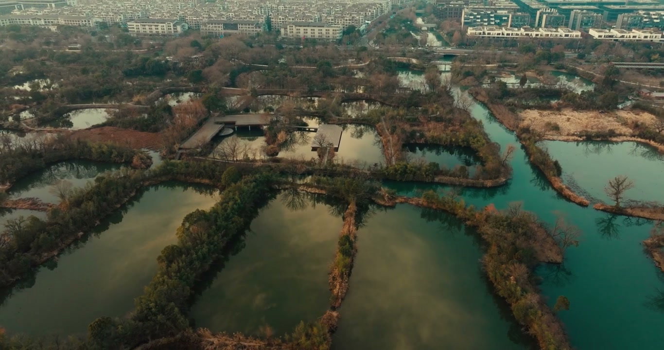 Aerial View of Urban Wetland Park