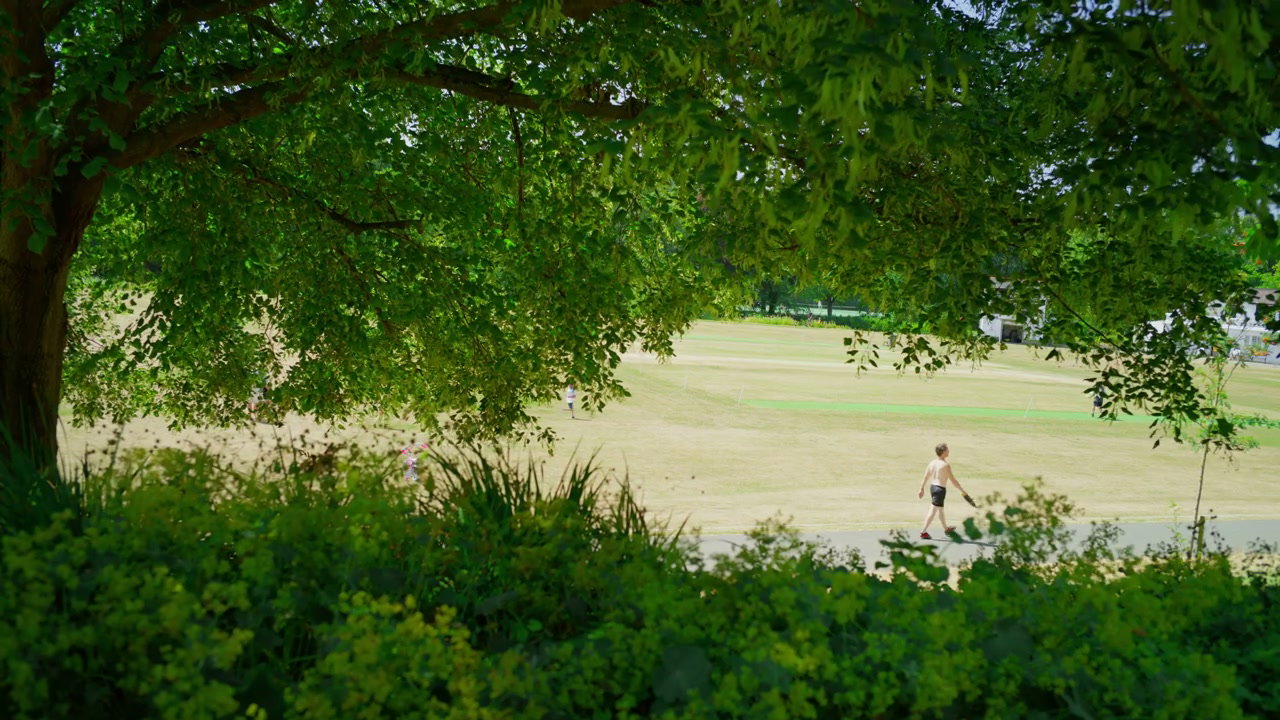 video preview