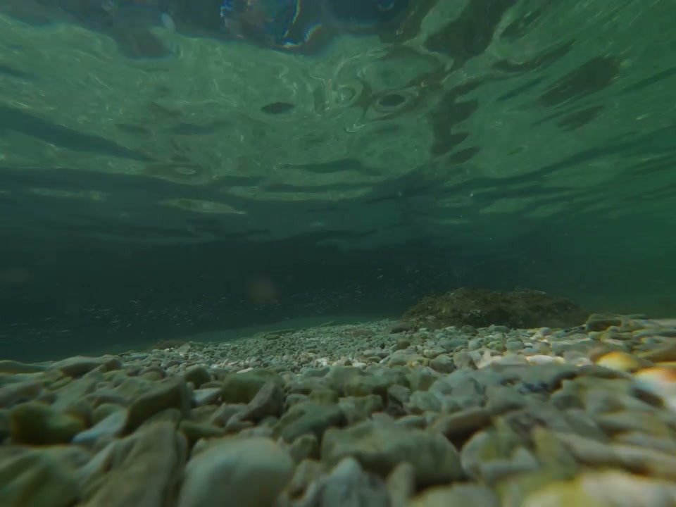 Underwater Pebble Seabed with Ripples