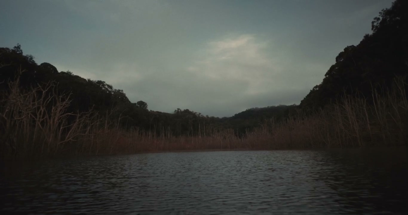 Dark Lake With Dead Trees Under Cloudy Sky