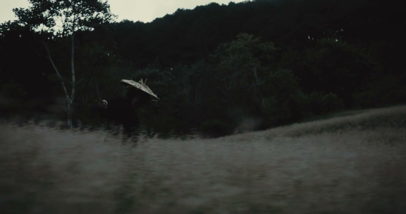 Samurai Running Through Grassy Field at Dusk