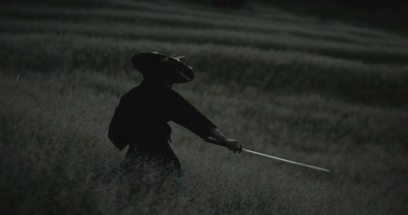 Samurai Drawing Katana in Grassy Field
