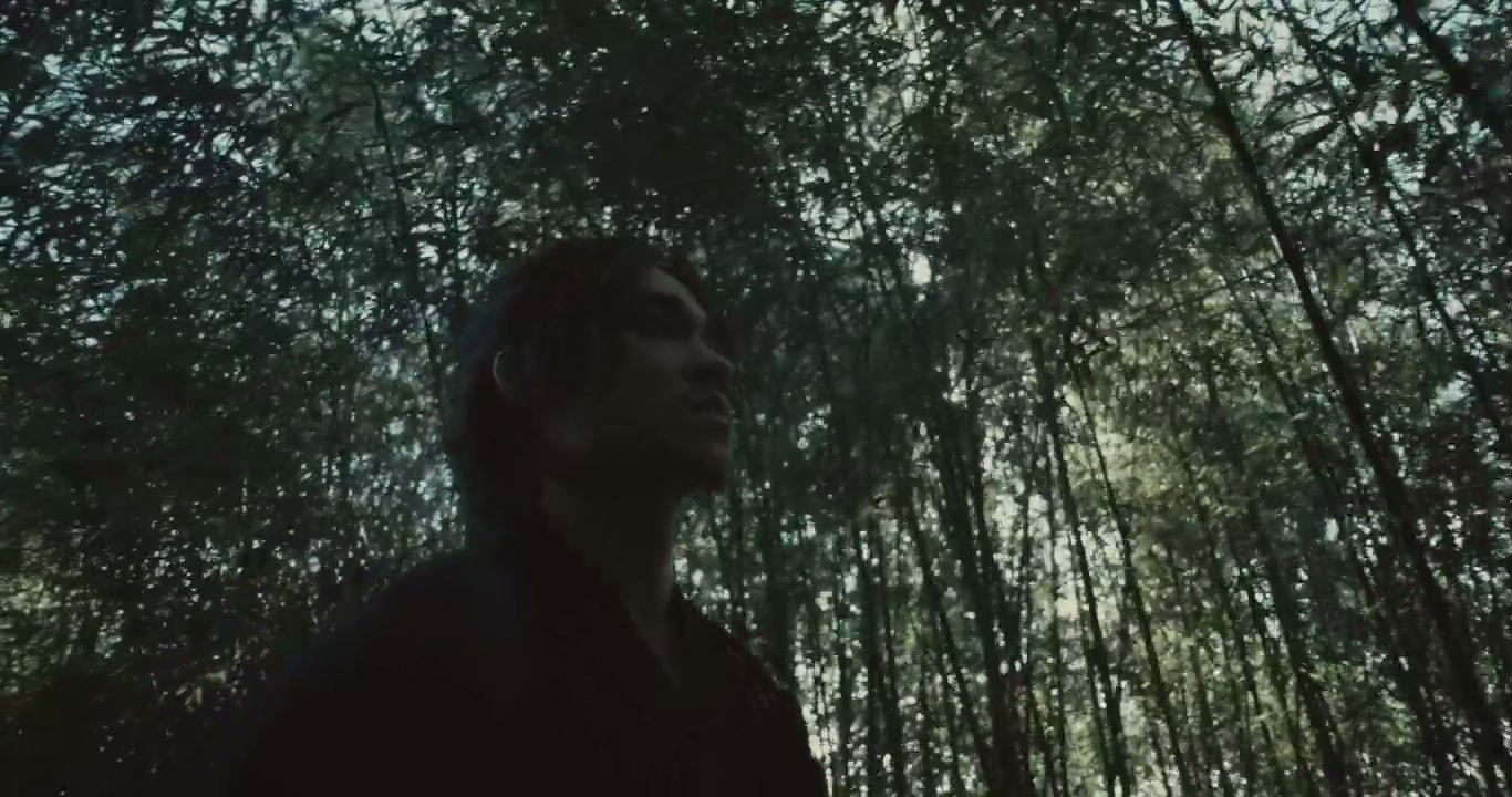 Samurai Walking in Bamboo Forest