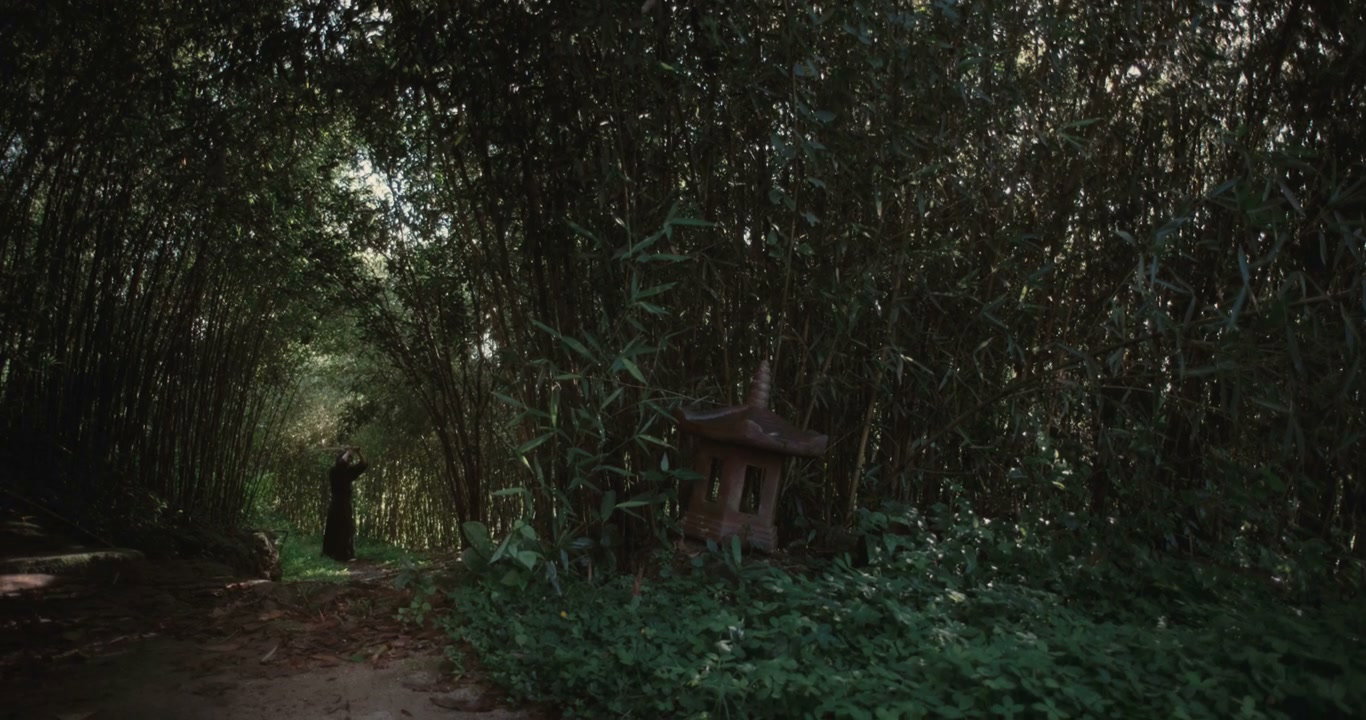 Samurai Walking Through Bamboo Forest