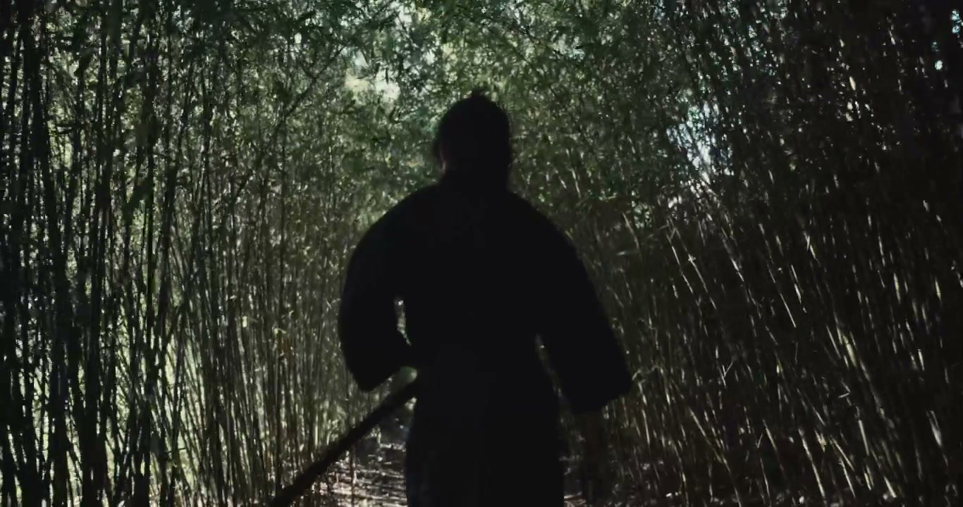 Samurai Warrior Walking Through Bamboo Forest