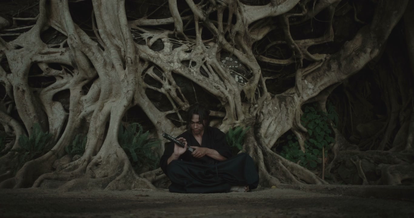 Samurai Sheathing Katana by Ancient Tree
