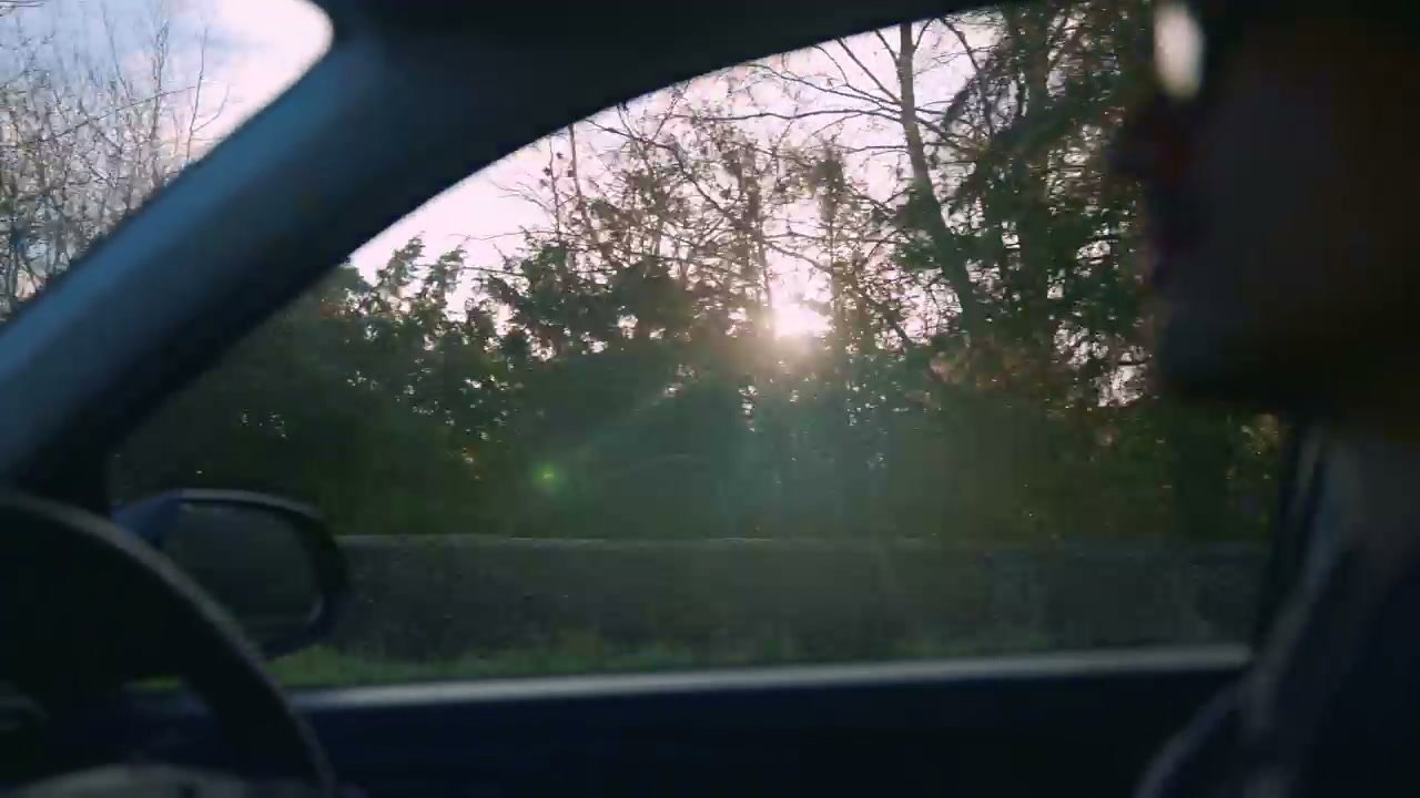Sunlight Through Trees From Moving Car