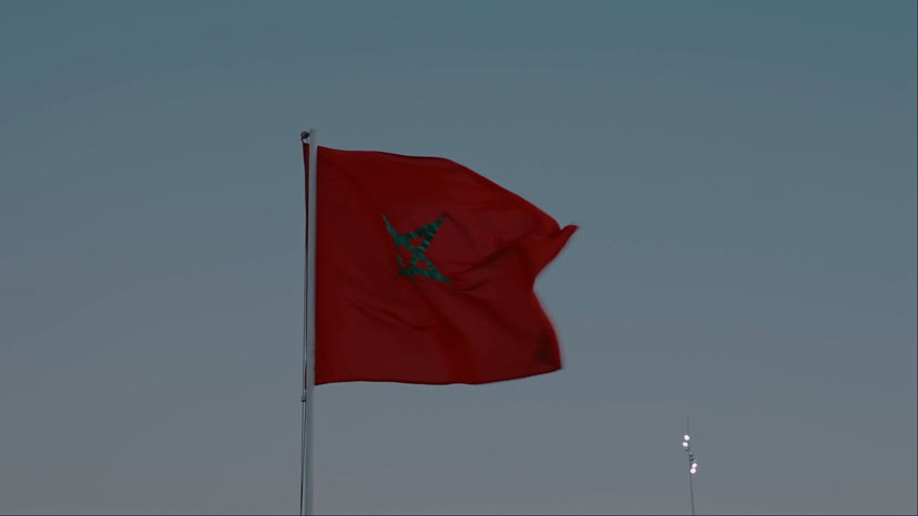 Donkey with Taxi Sign in Paradise Valley • Stock Video on Uppbeat