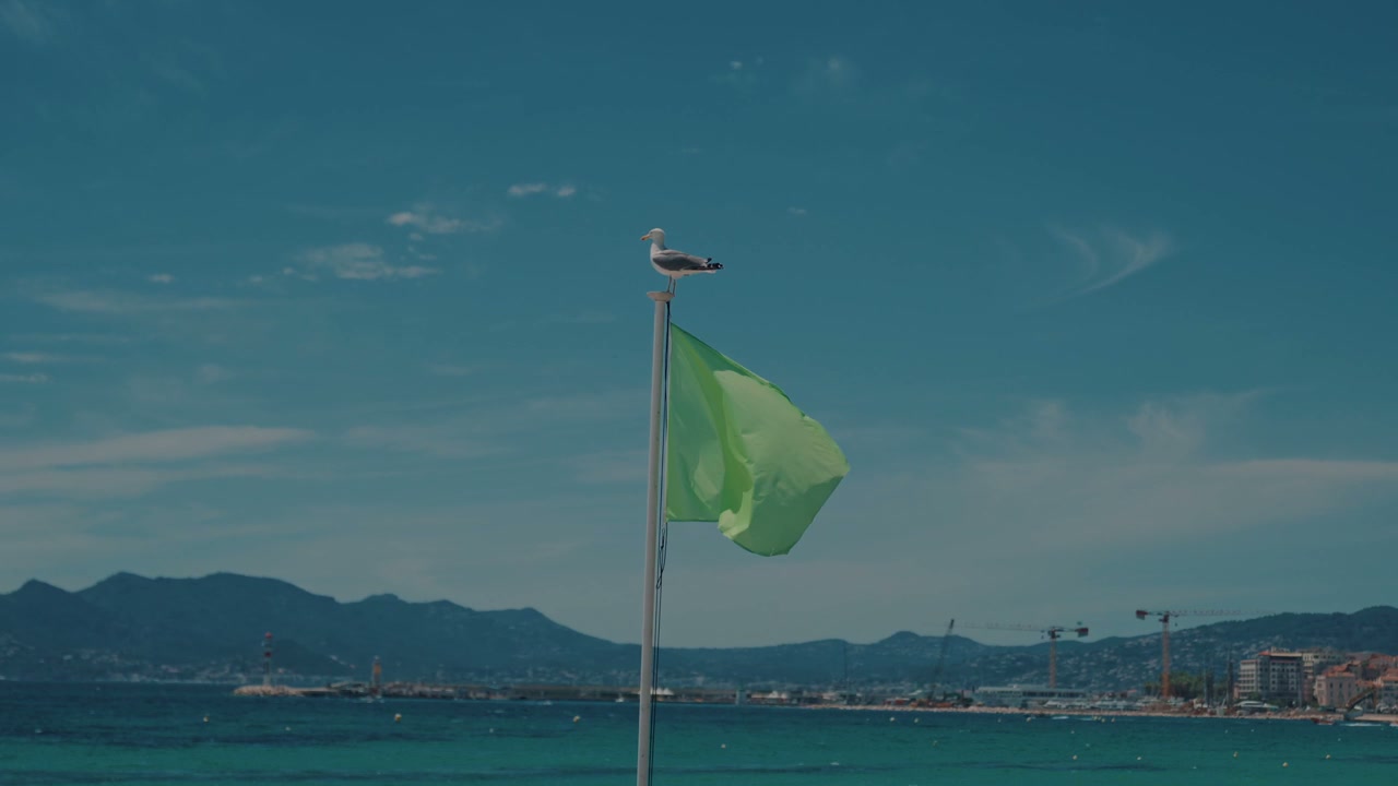 video preview