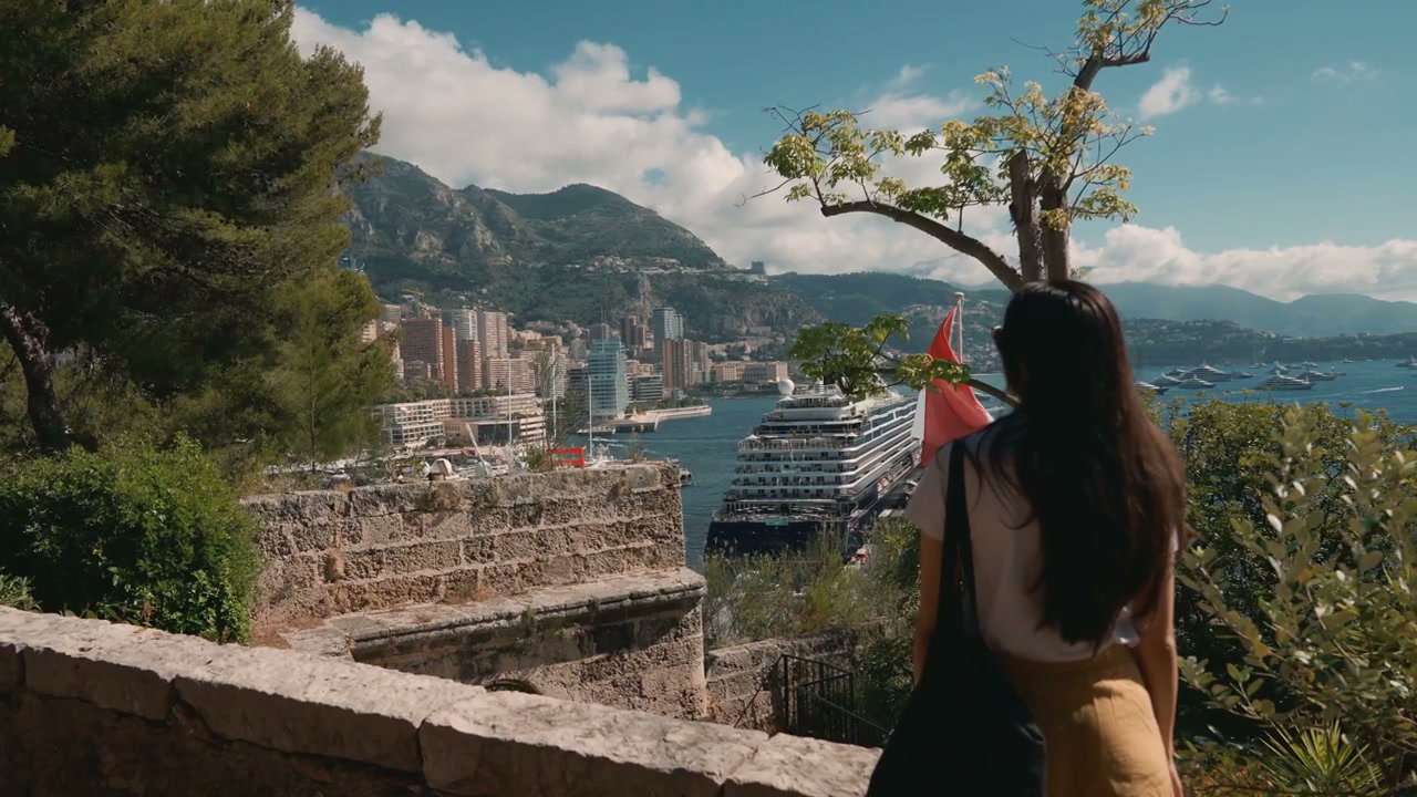 video preview