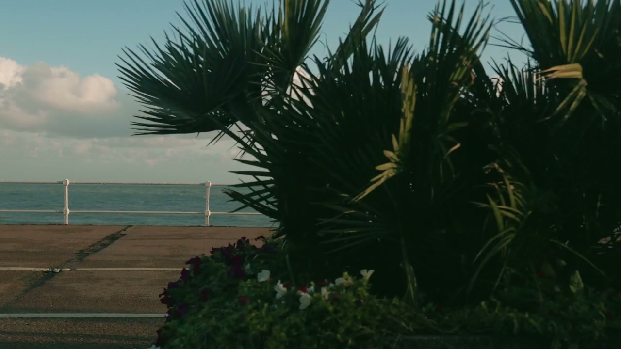 Seaside Promenade Pan at Sunset
