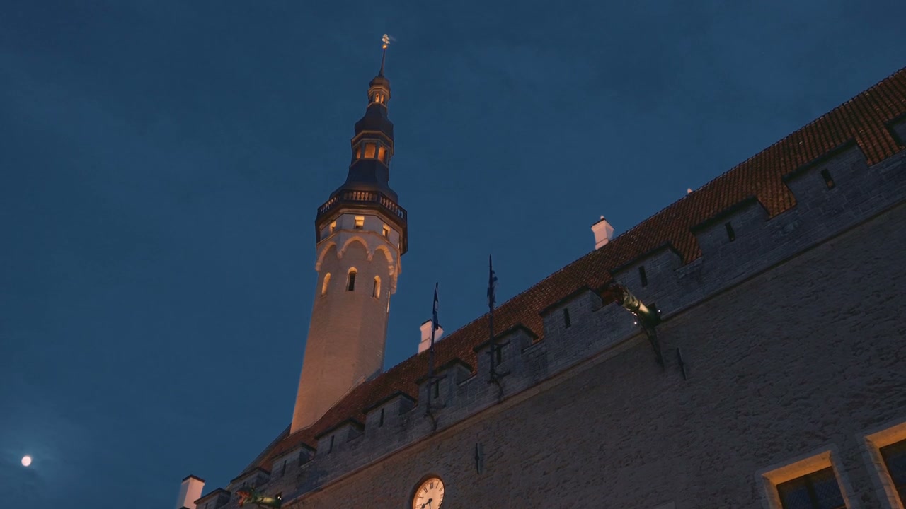 video preview