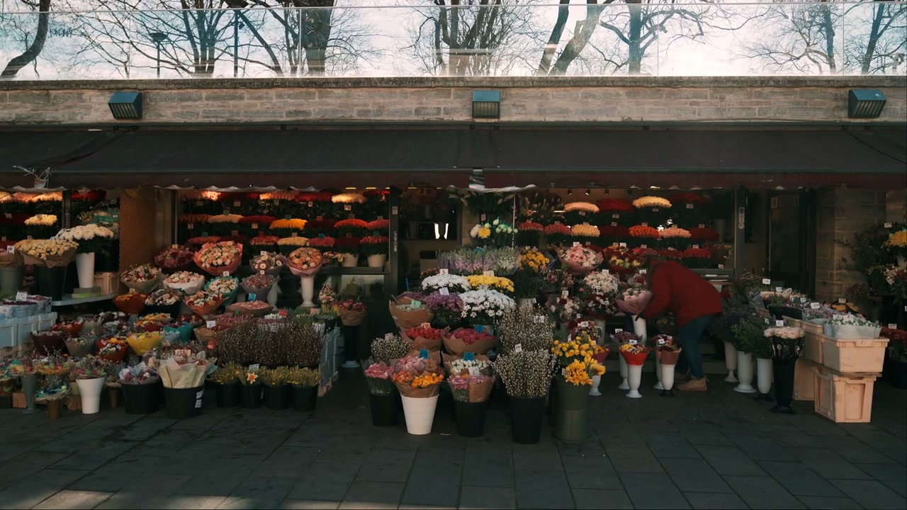 video preview