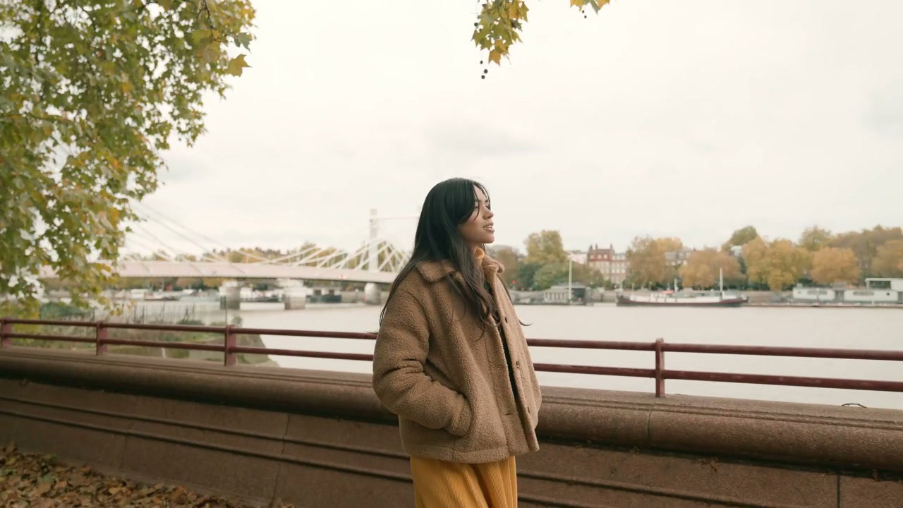 video preview