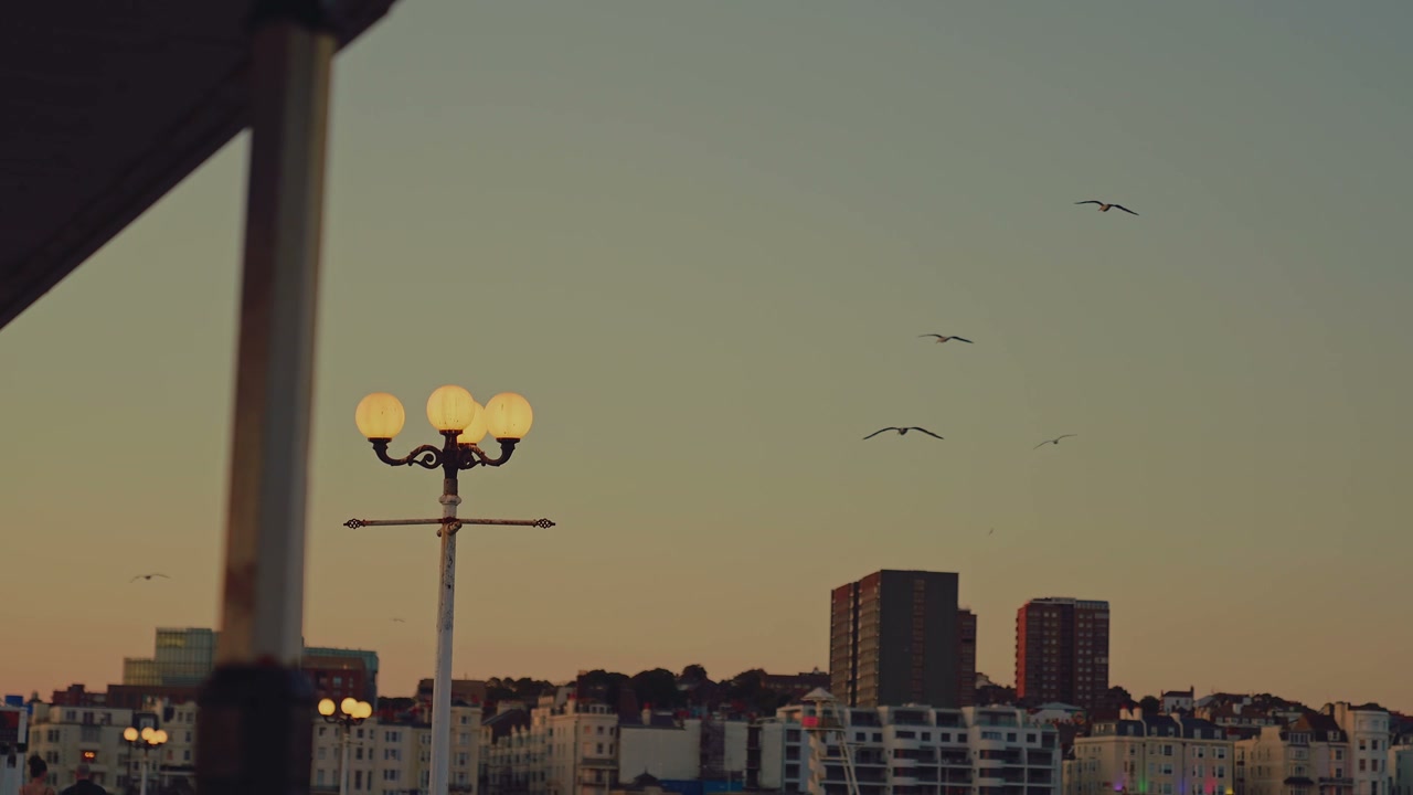 Seagulls Flying Over Brighton Pier at Dusk