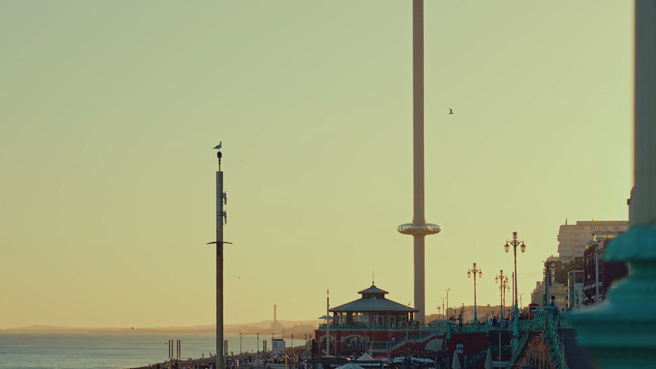 Brighton i360 Tower and Seafront at Sunset