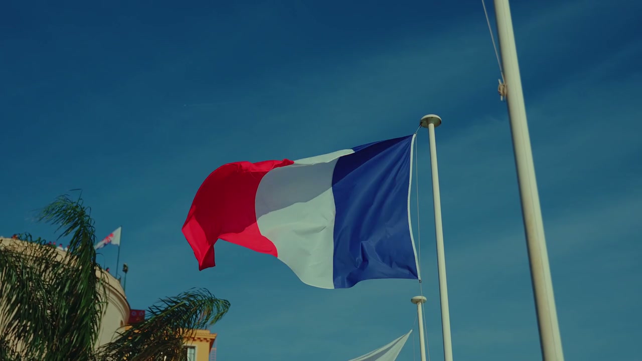 French Flag Waving in Nice