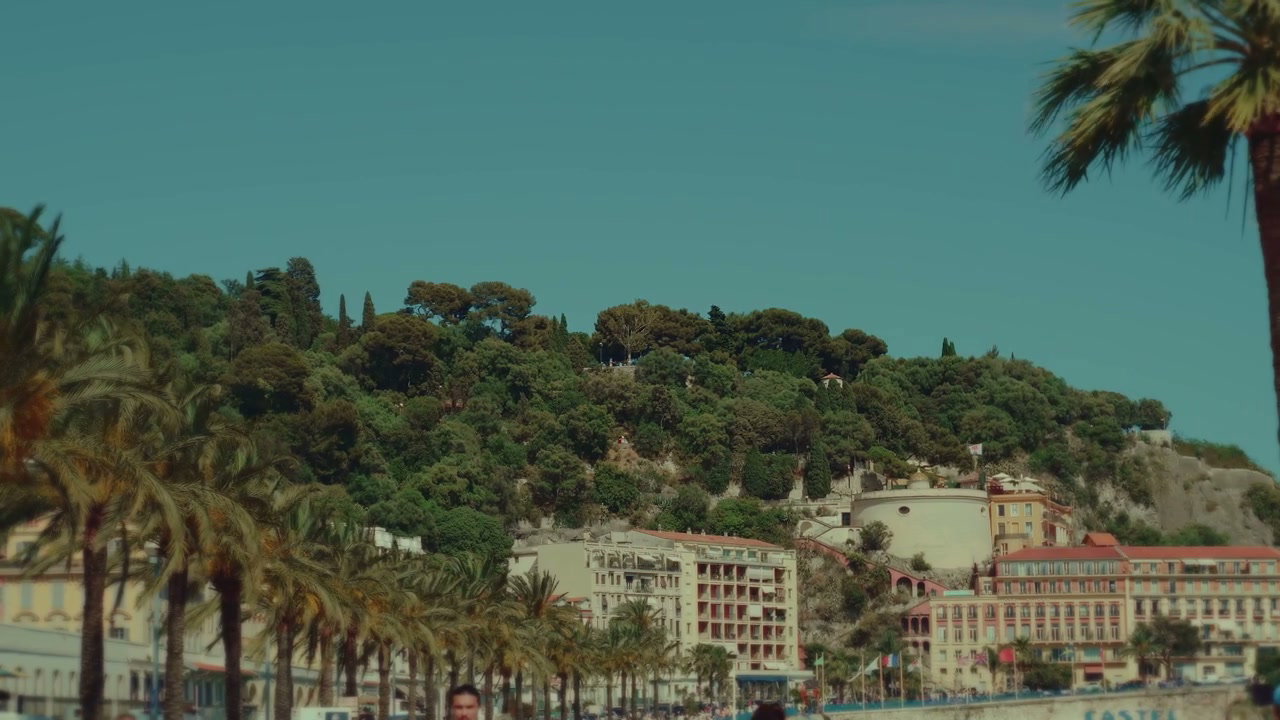 Palm Trees and City Buildings in Nice