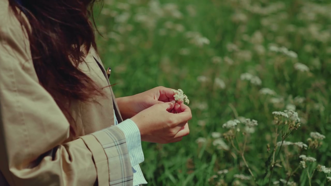 Hands Examining Wildflowers