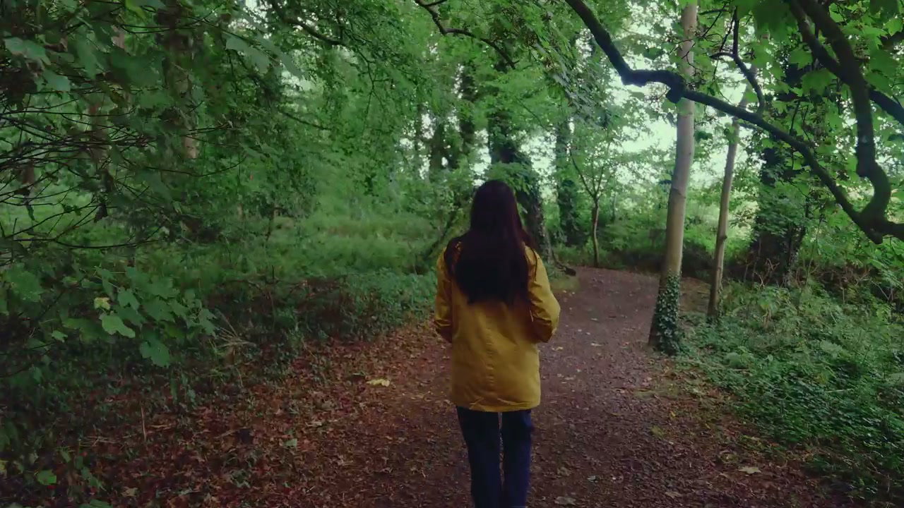 Person Walking on Forest Path