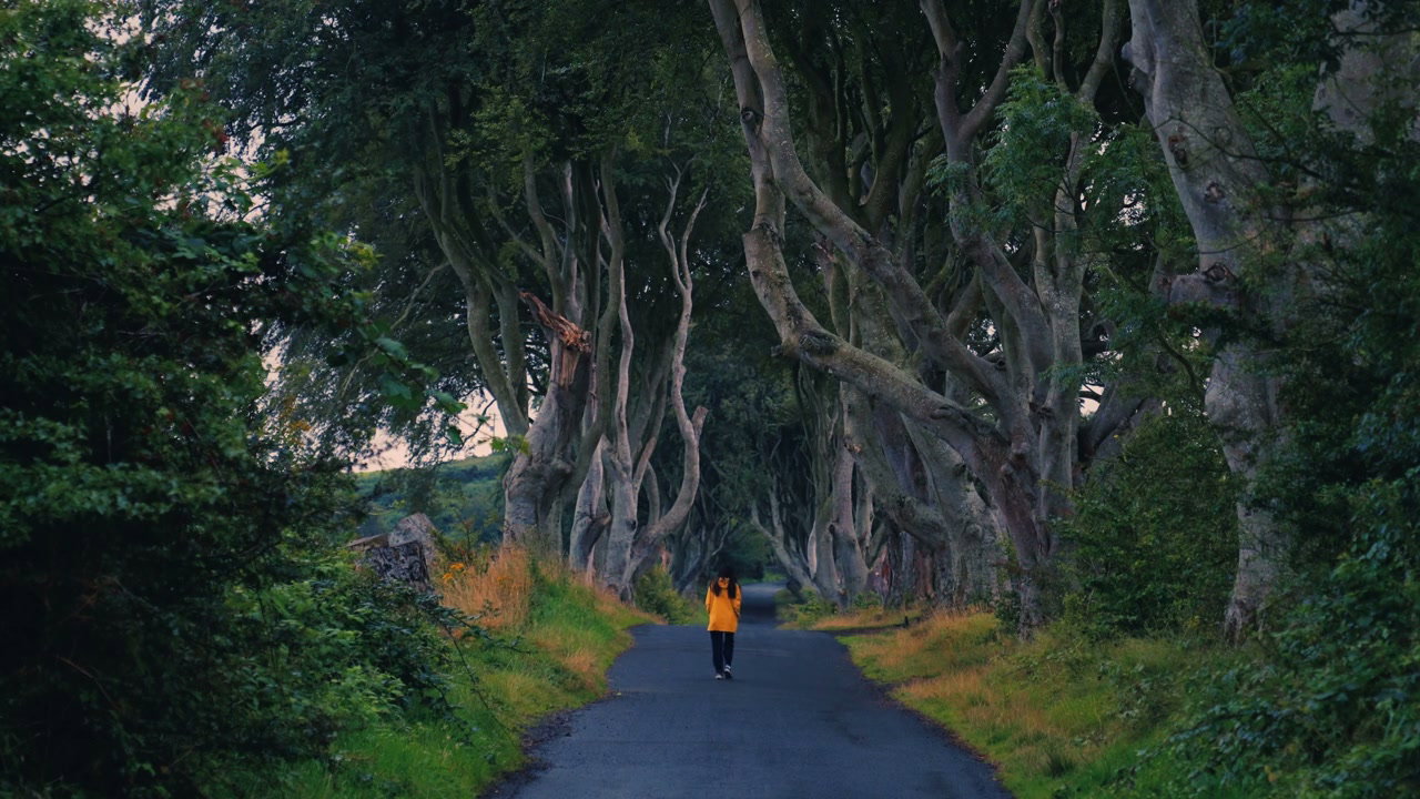 Person Walking Through Dark Hedges Tree Tunnel
