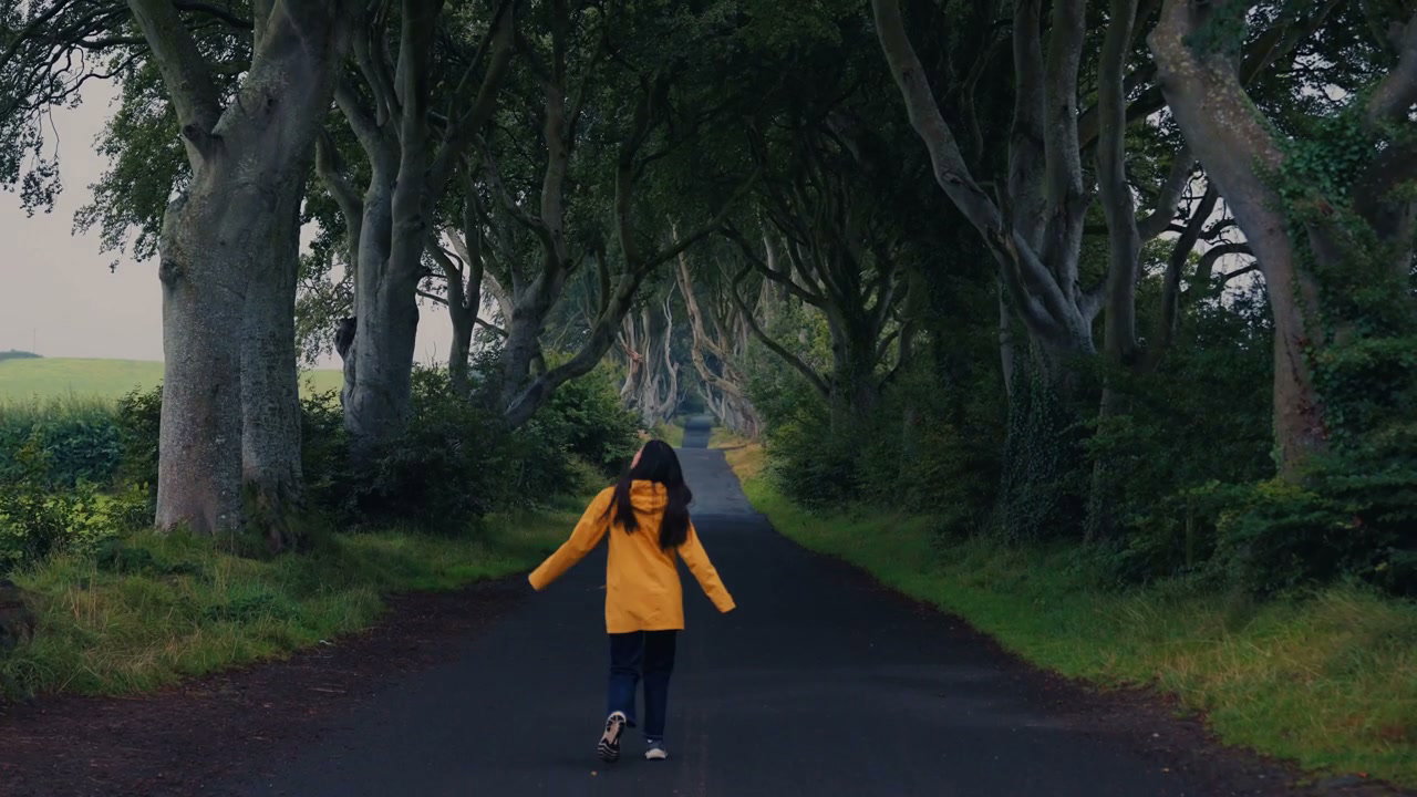 Person Walking Dark Hedges