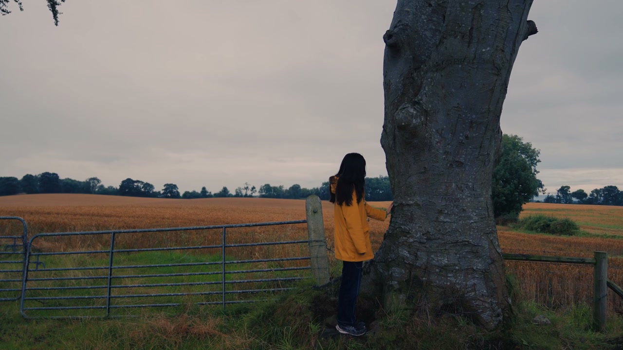 Person by Tree in Rural Field