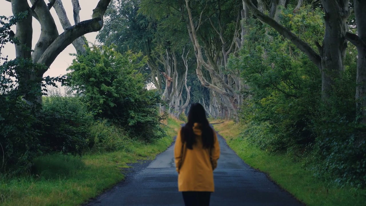 Person Walking Along Dark Hedges Road