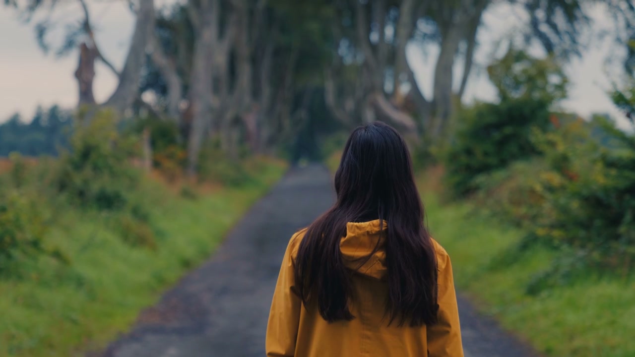 Person Walking Through The Dark Hedges Avenue