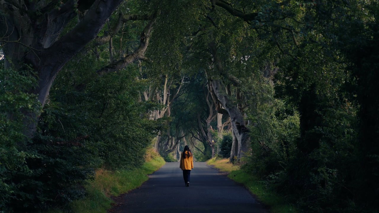 Person Walking Down Dark Hedges Avenue