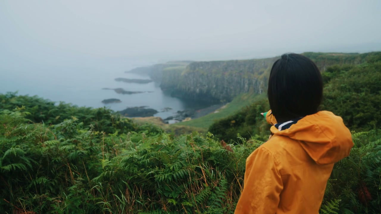 Person on Cliff Looking at Giants Causeway Coastline