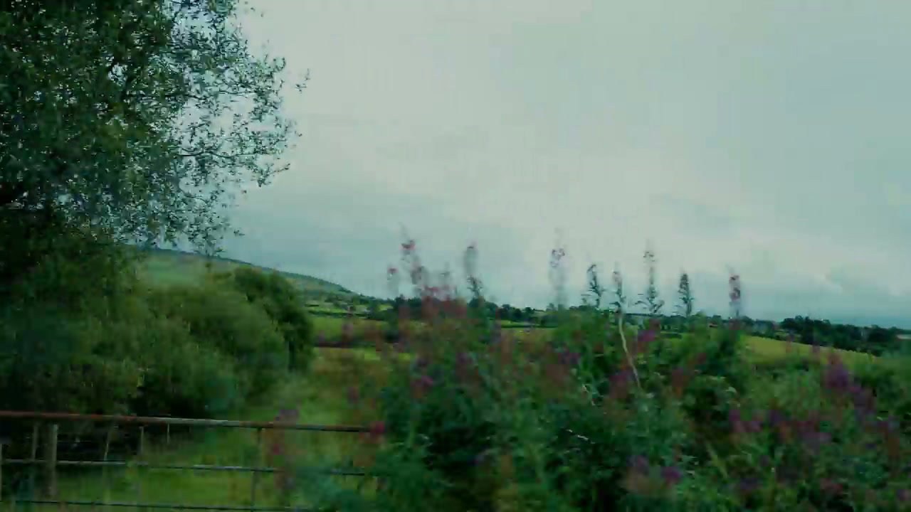 Driving Past Green Fields in Irish Countryside