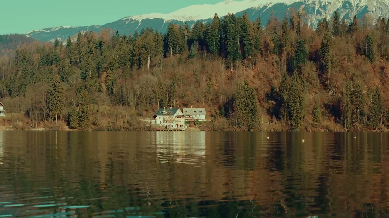 Tranquil Lake Bled with Forest and Snowy Mountains