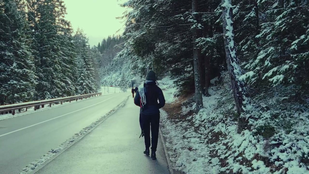Person Walks on Snowy Road by Lake Jasna