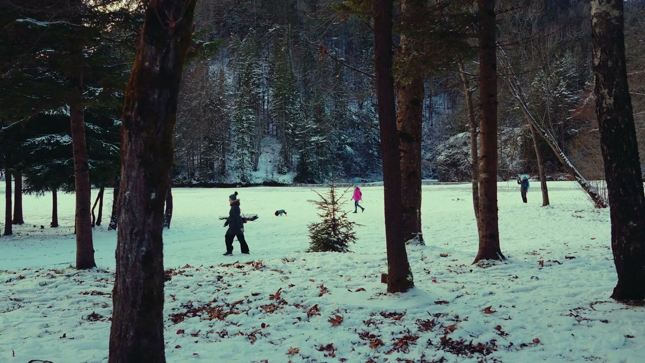 People and Dog Walking in Snowy Lake Jasna Forest