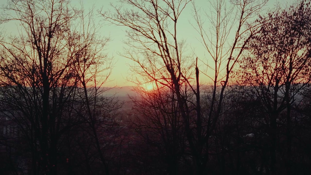 Sunset Over Hilly Landscape Through Trees