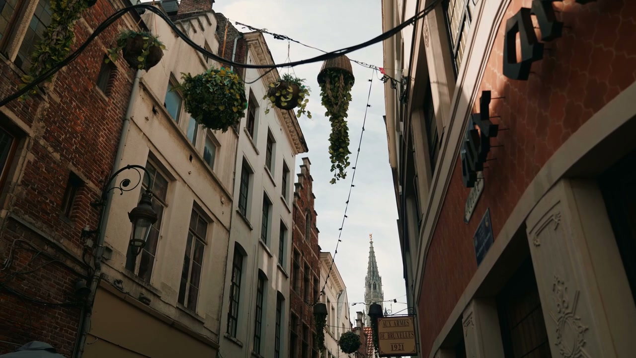 Historic Brussels Street with Town Hall Spire