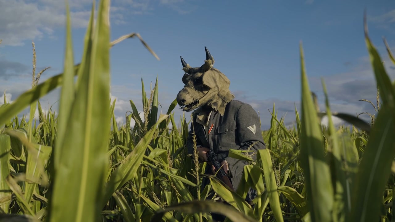 video preview